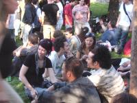 Une photo